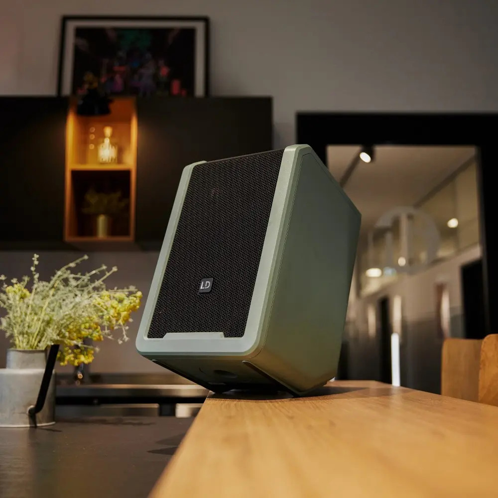 Bafle Activo de 8" con 2 Microfonos Inalambricos