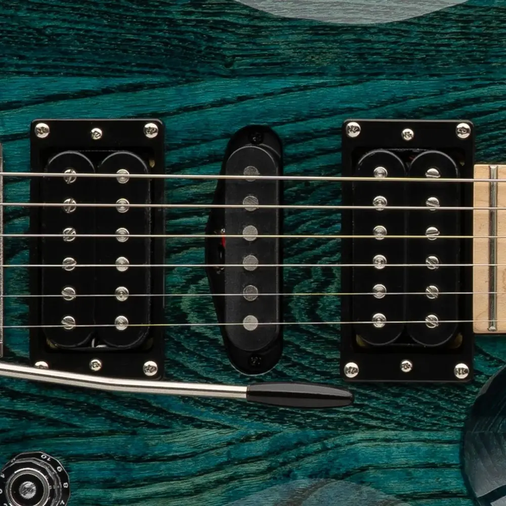 Guitarra Electrica Se Swamp Prs Sw2Sxmxn1 Vs