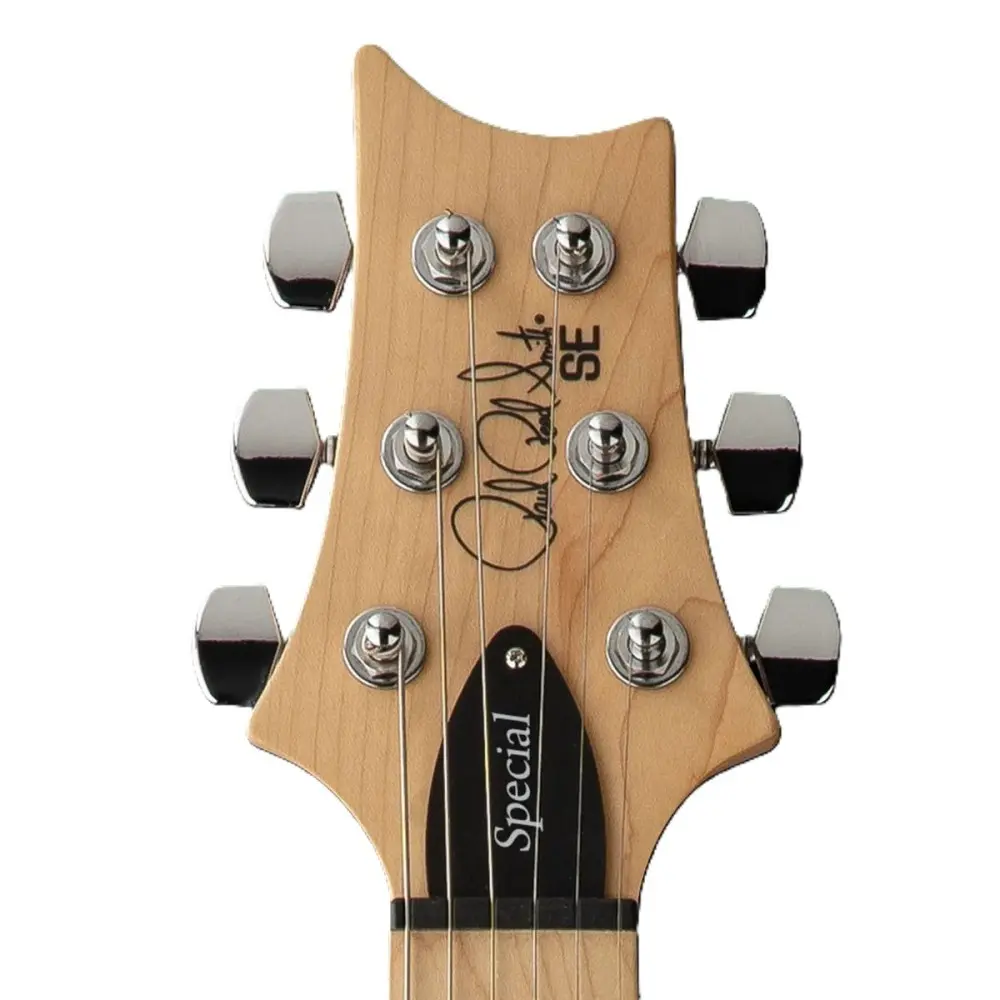 Guitarra Electrica Se Swamp Prs Sw2Sxmxn1 Vs