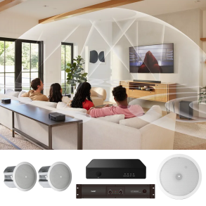 Pack Sonido Galeria Quincho Instalacion Techo JBL 2.1