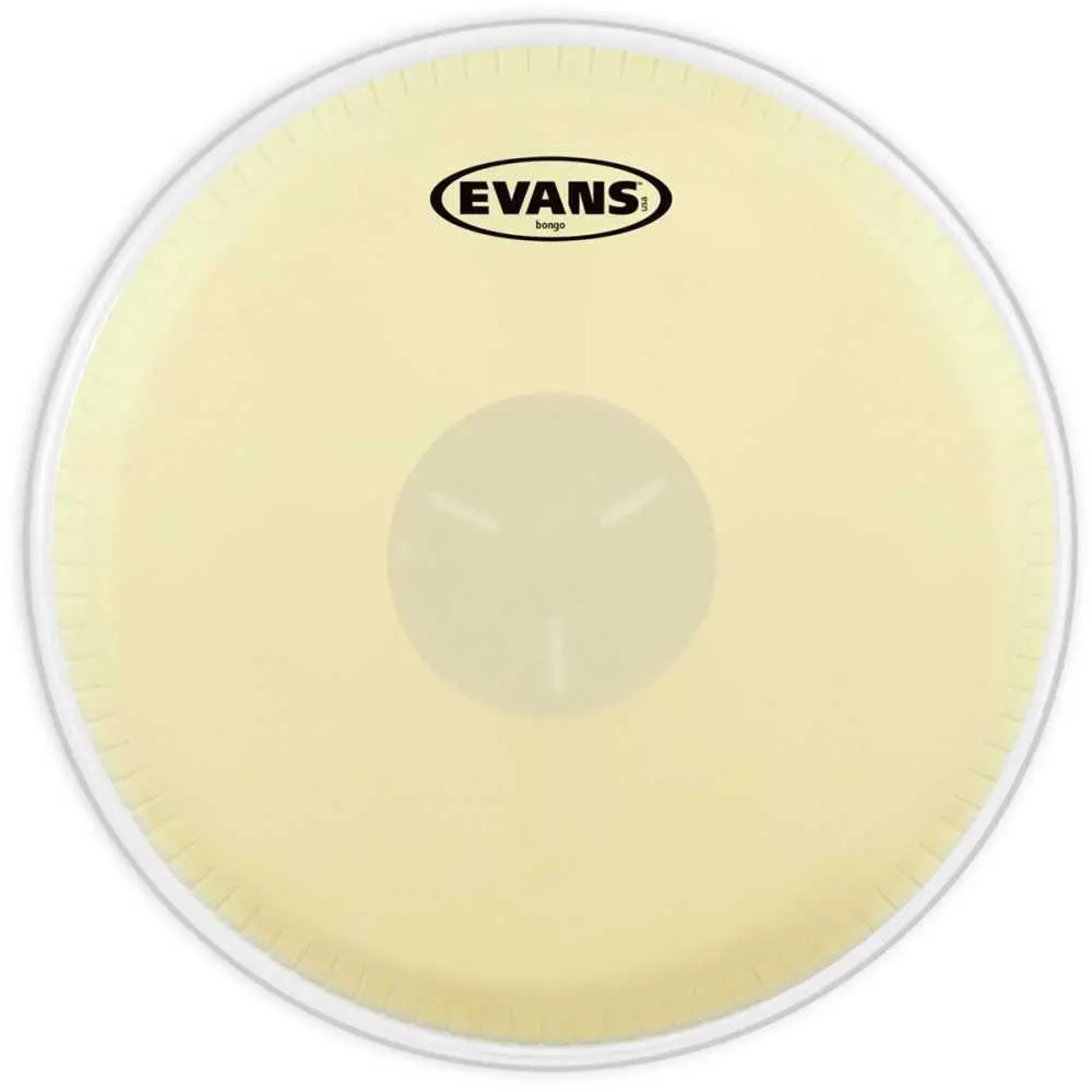 Parche Evans 8" Percusion Cuero Capa Simple Con centro reforzado EB09 OUTLET