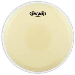 Parche Conga 11" Evans EC1100E