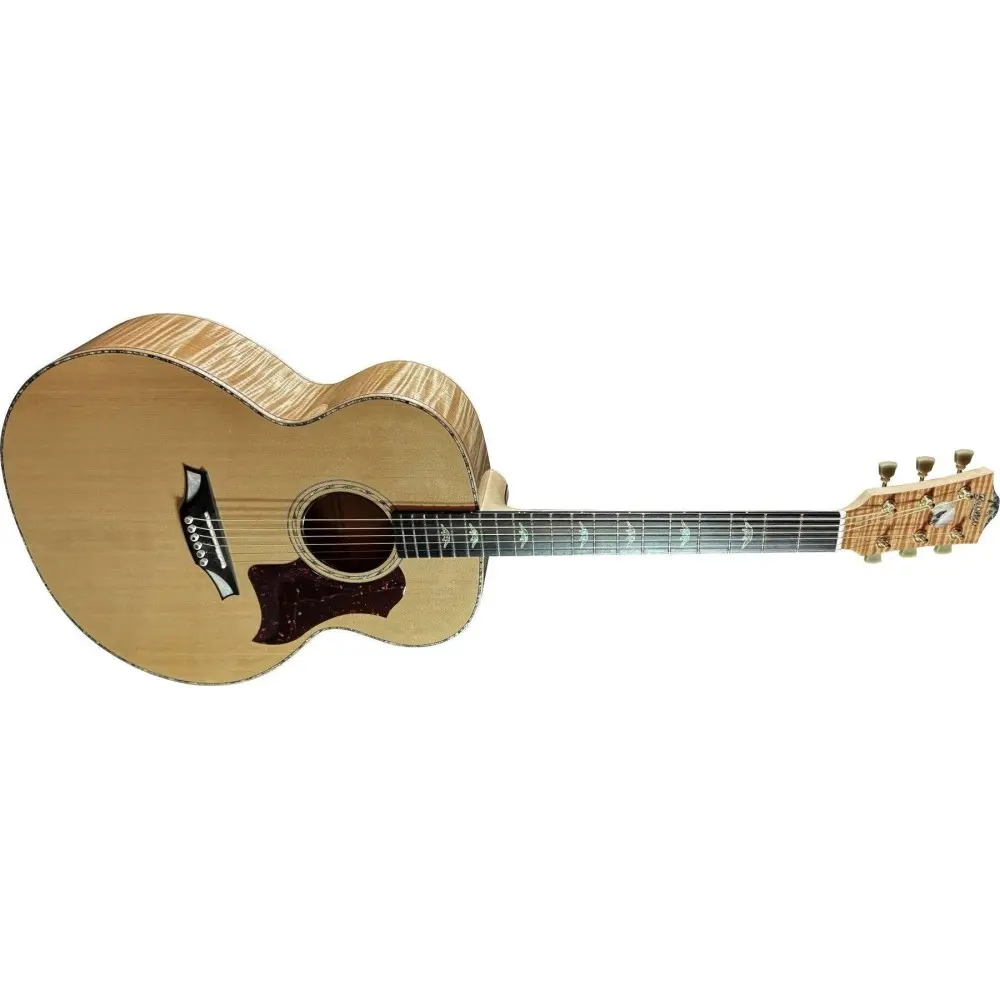 Guitarra Acustica Bromo BAN7E