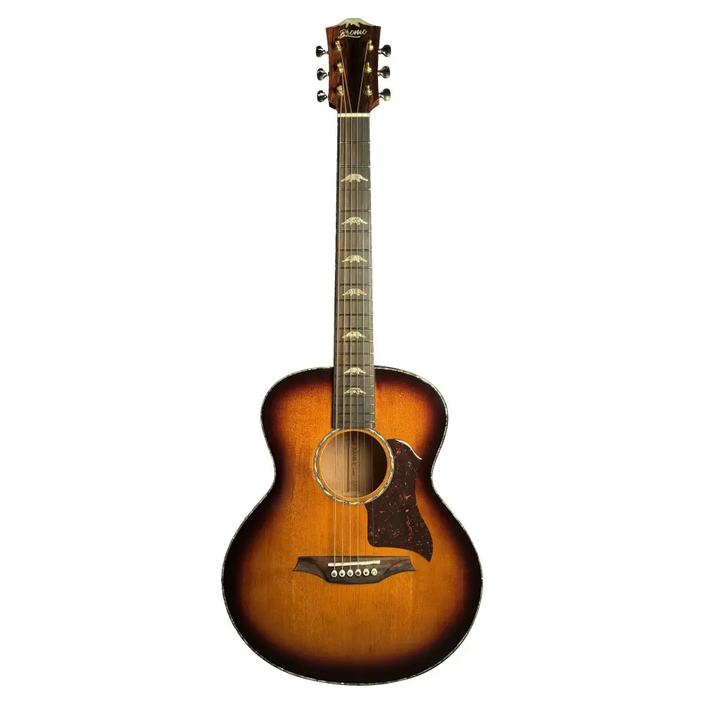 Guitarra Acustica Bromo BAN8E vs