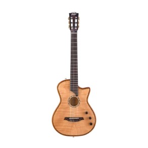Guitarra Electrocriolla Bromo BEN2C