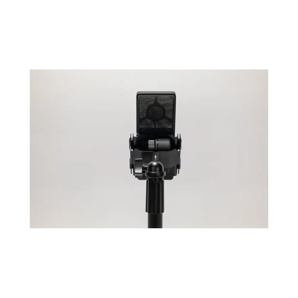 Micrófono de condensador supercardioide de diafragma grande Cad E100Sx