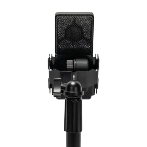 Micrófono de condensador supercardioide de diafragma grande Cad E100Sx