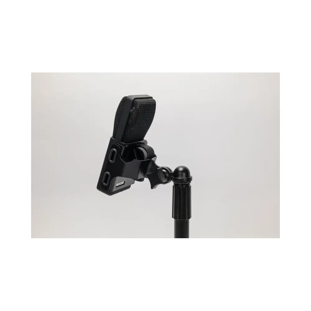 Micrófono de condensador supercardioide de diafragma grande Cad E100Sx