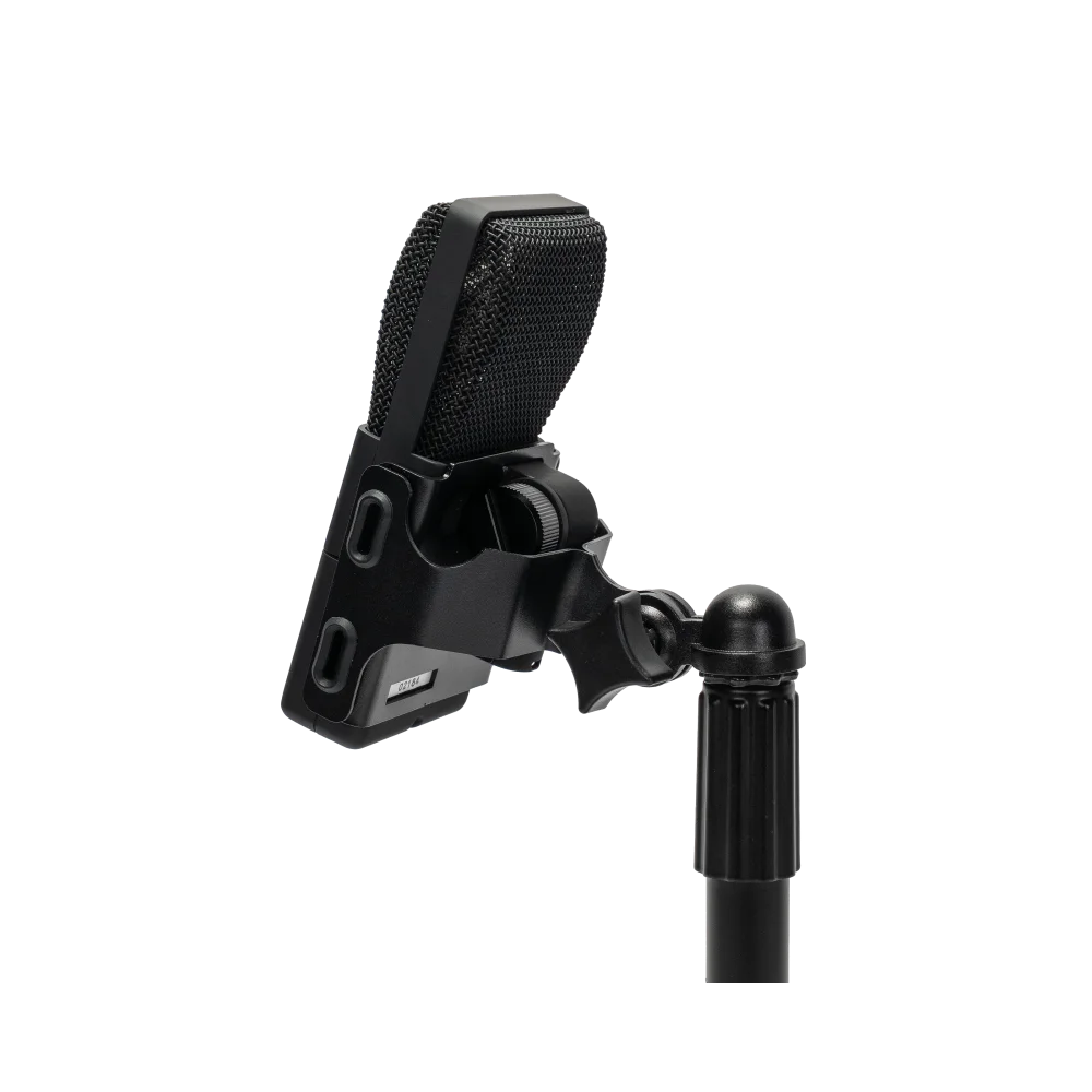 Micrófono de condensador supercardioide de diafragma grande Cad E100Sx