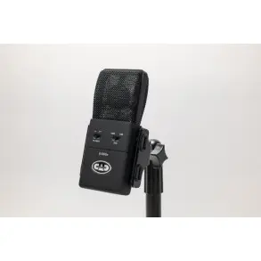 Micrófono de condensador supercardioide de diafragma grande Cad E100Sx
