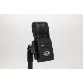 Micrófono de condensador supercardioide de diafragma grande Cad E100Sx