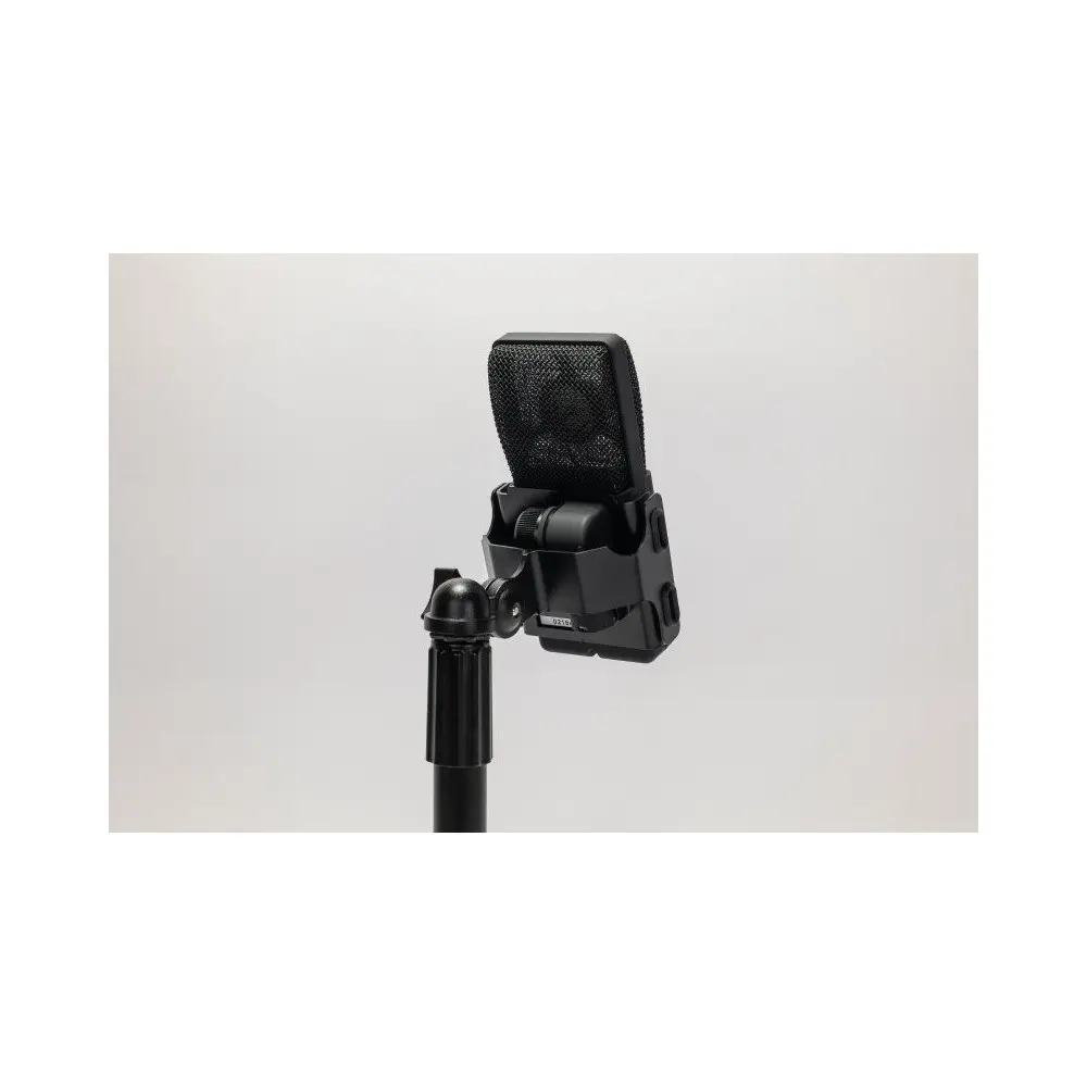 Micrófono de condensador supercardioide de diafragma grande Cad E100Sx