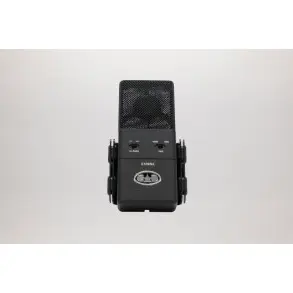 Micrófono de condensador supercardioide de diafragma grande Cad E100Sx