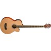 Bajo Acustico Sonamaster Washburn AB5K-A-U