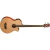 Bajo Acustico Sonamaster Washburn AB5K