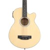 Bajo Acustico Sonamaster Washburn AB5K-A-U