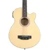 Bajo Acustico Sonamaster Washburn AB5K