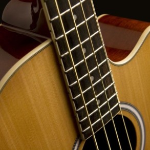Bajo Acustico Sonamaster Washburn AB5K-A-U