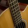 Bajo Acustico Sonamaster Washburn AB5K
