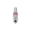 Ficha RCA Adam Hall 3CR2RED